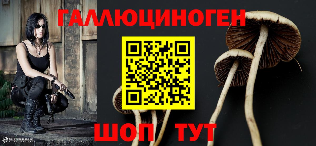 закладка  Вход с VPN  Лабинск  Псилоцибиновые грибы ЛСД 