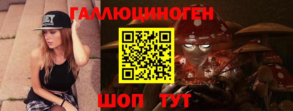 Псилоцибиновые грибы Cubensis Лабинск